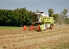 Claas Drescher 32